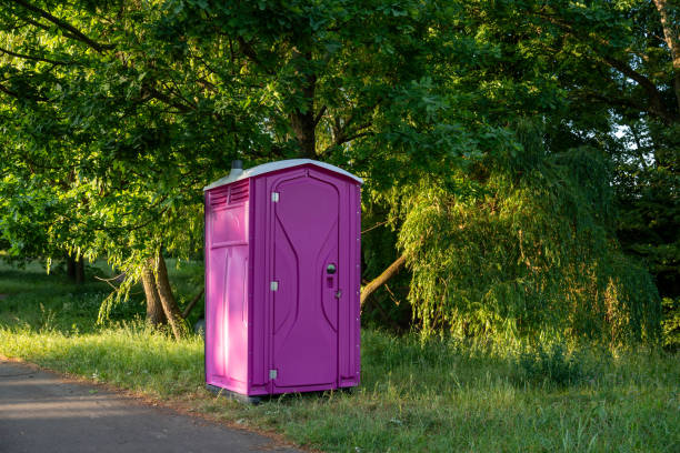 Portable Toilet Options We Offer in Cleona, PA